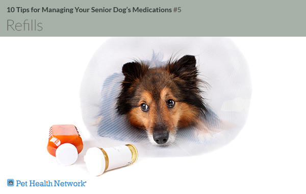 Dog with cone next to pills
