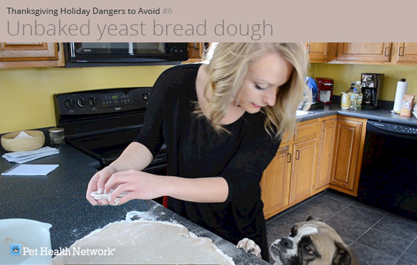 Dog on counter by bread dough