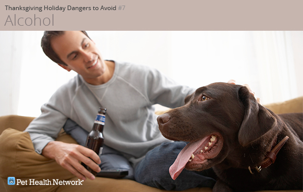 Man drinking a beer with his dog