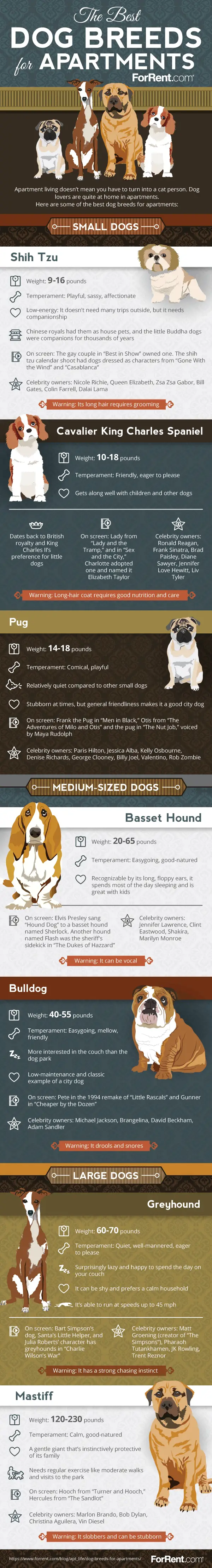 Bestworst Dog Breeds For Apartments Ig