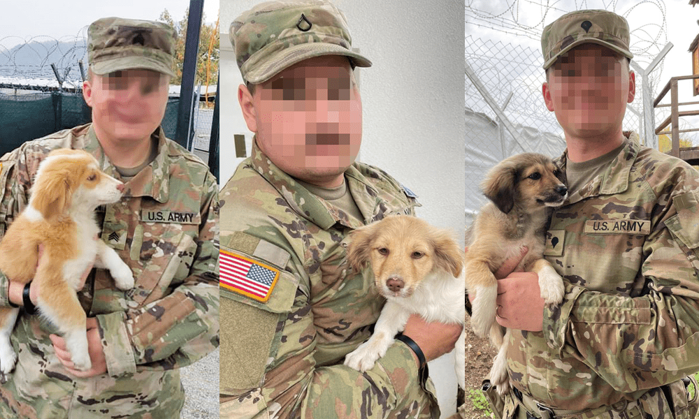 3Soldiers2Puppies