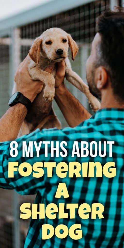 Fostering Myths