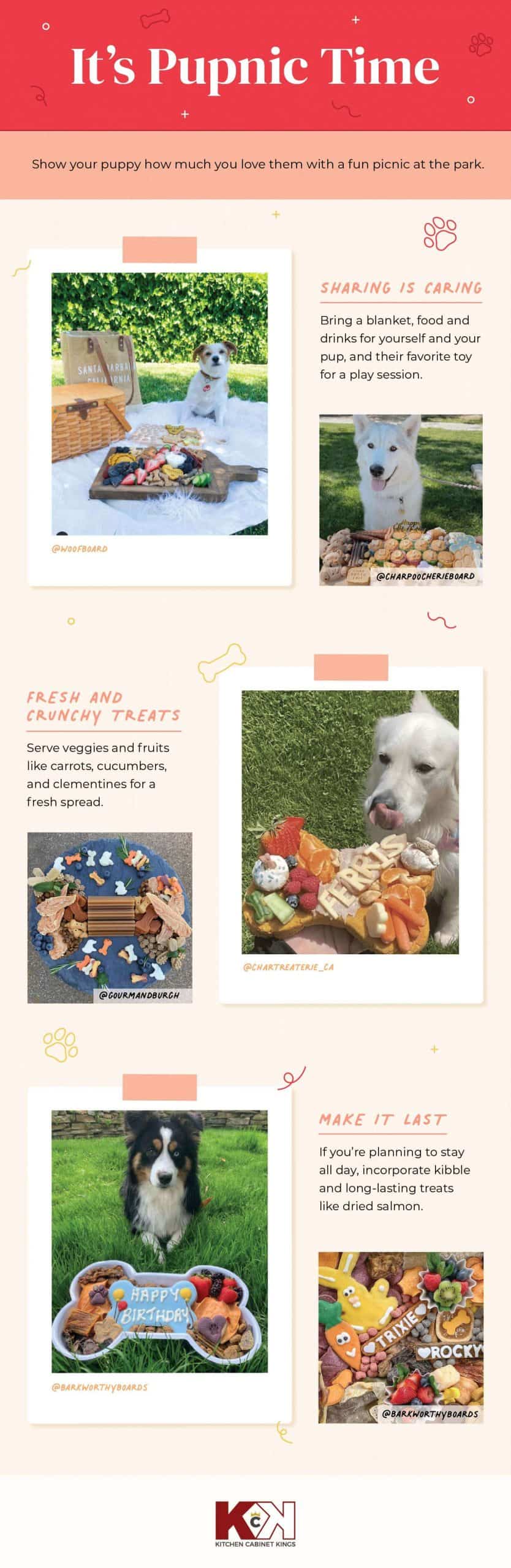 1Its Pupnic Time Barkuterie Mood Board Scaled